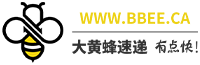 大黄蜂国际速递
