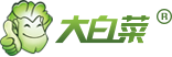 大白菜装机