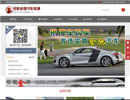 安徽金驰汽车抵押网