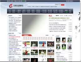 中国太极拳网