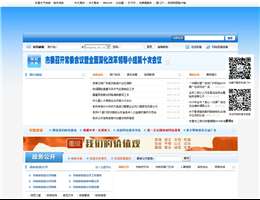 东营市人民政府