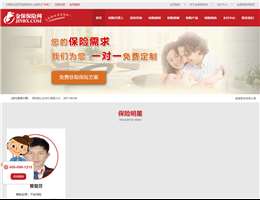 金保保险网