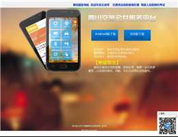 四川省公安交通管理信息网