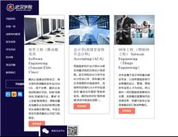 中南财经政法大学武汉学院