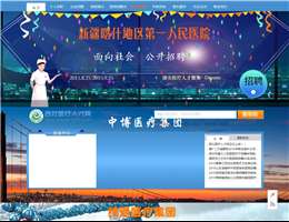 西北医疗人才网