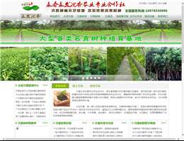 永发沉香合作社