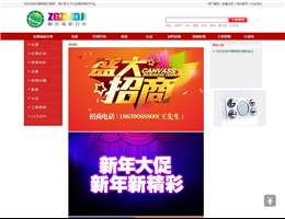 中国照明灯具网